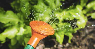vocabulaire jardinage