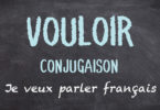 VOULOIR conjugaison