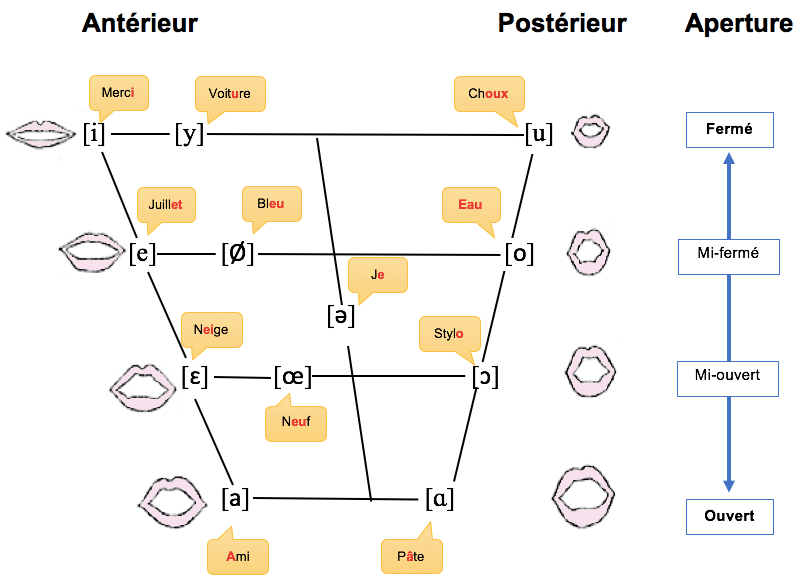 Les voyelles