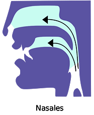 Voyelles nasales