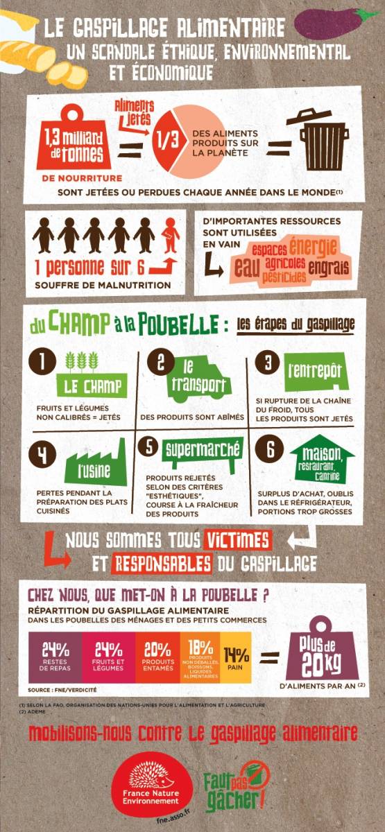 gaspillage alimentaire infographie