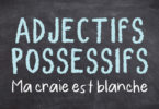 Adjectifs possessifs