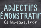 adjectifs démonstratifs