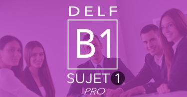 DELF Pro B1