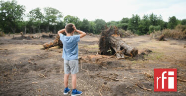 La déforestation de l’Amazonie