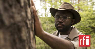 Bonne nouvelle pour les forêt en Côte d’Ivoire