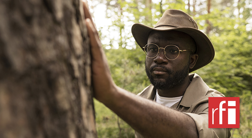 Bonne nouvelle pour les forêt en Côte d’Ivoire