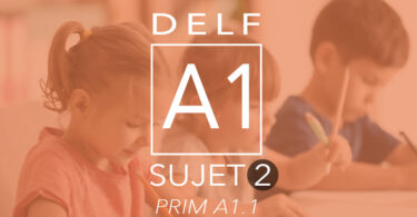 DELF Prim A1.1 sujet 2
